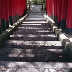 石段の光と影 石段の光と影