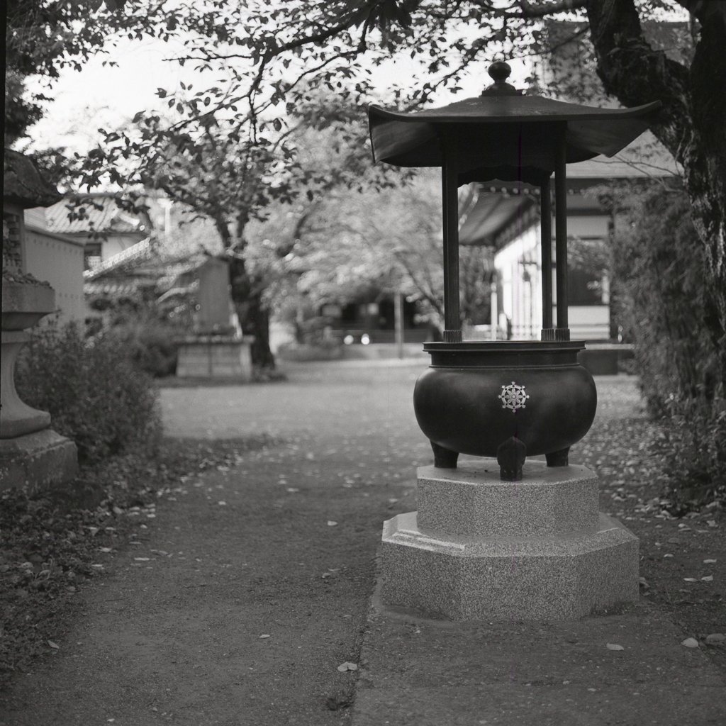 佐久成田山薬師寺