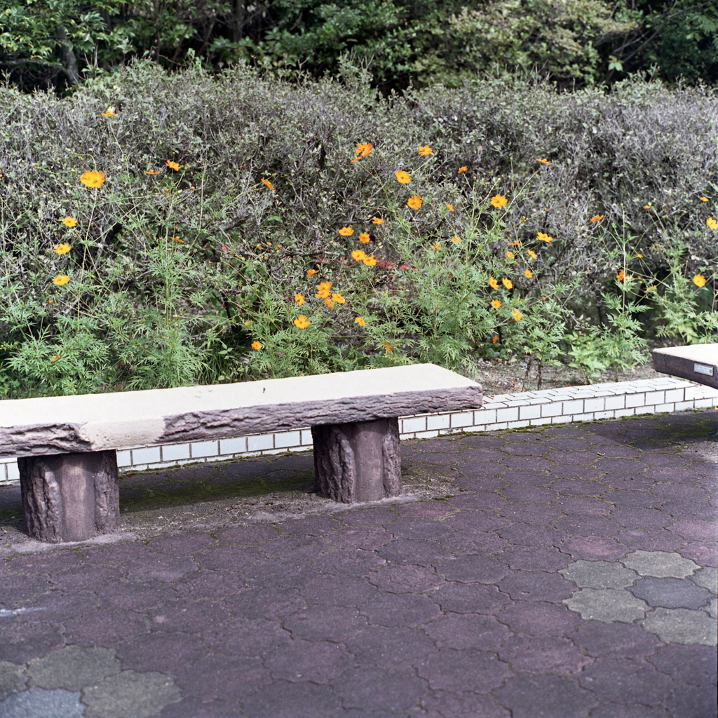 屏風山PAの喫煙席からのワンショット