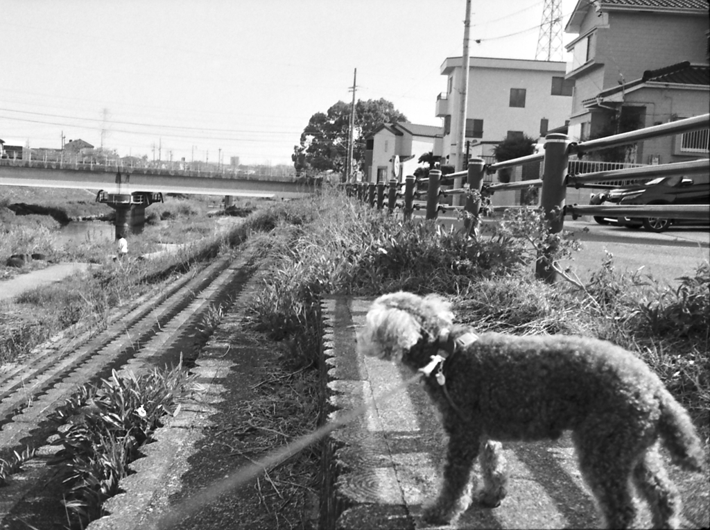 怖気づくマリ（笑