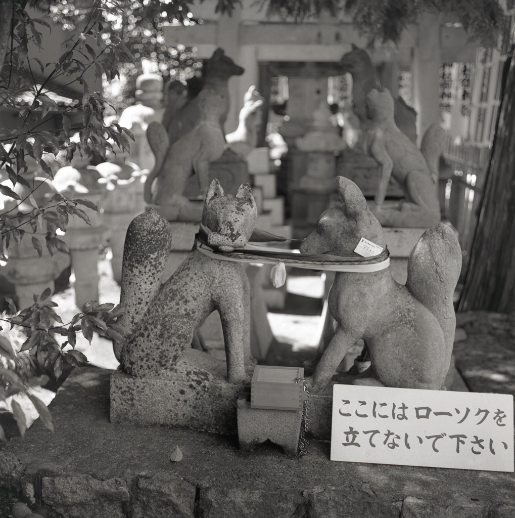 境内のお狐さま