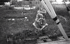 菜園脇のクリスマスツリー