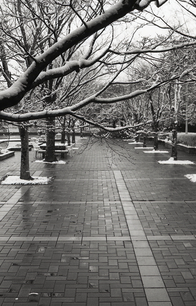 石段を歩こうか…