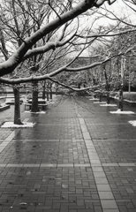 石段を歩こうか…