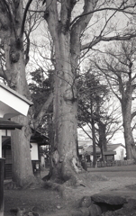 海野宿の白鳥神社