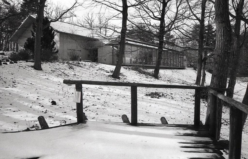 枕木も雪に包まれ…