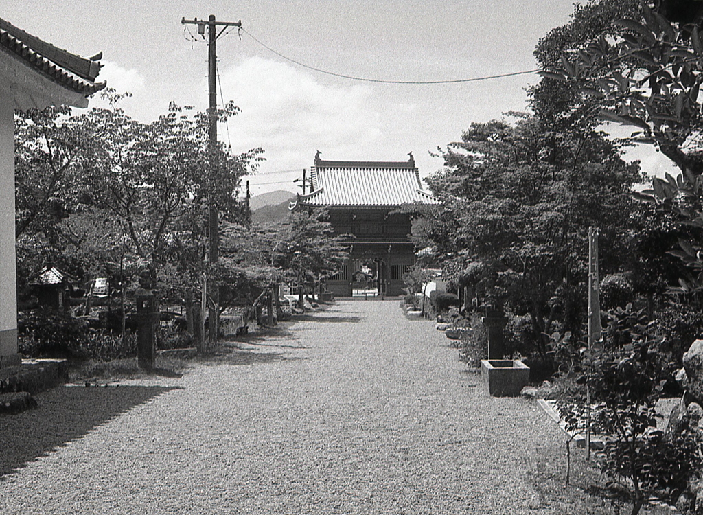 神宮寺の参道