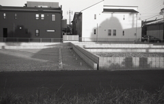 レンゲ畑の今 レンゲ畑の今