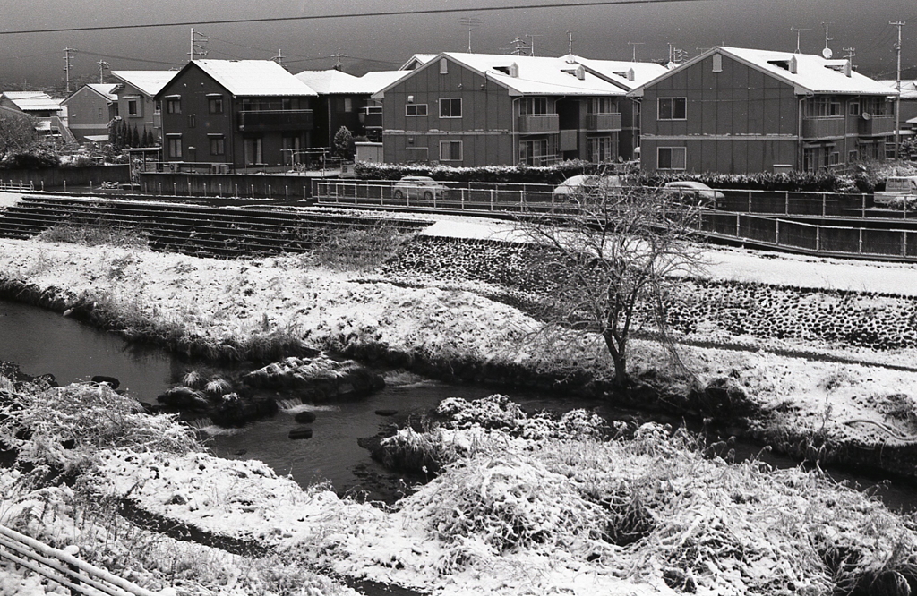 雪つもる街を