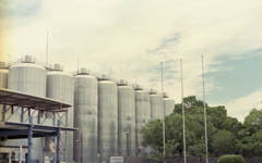 夏のビール工場