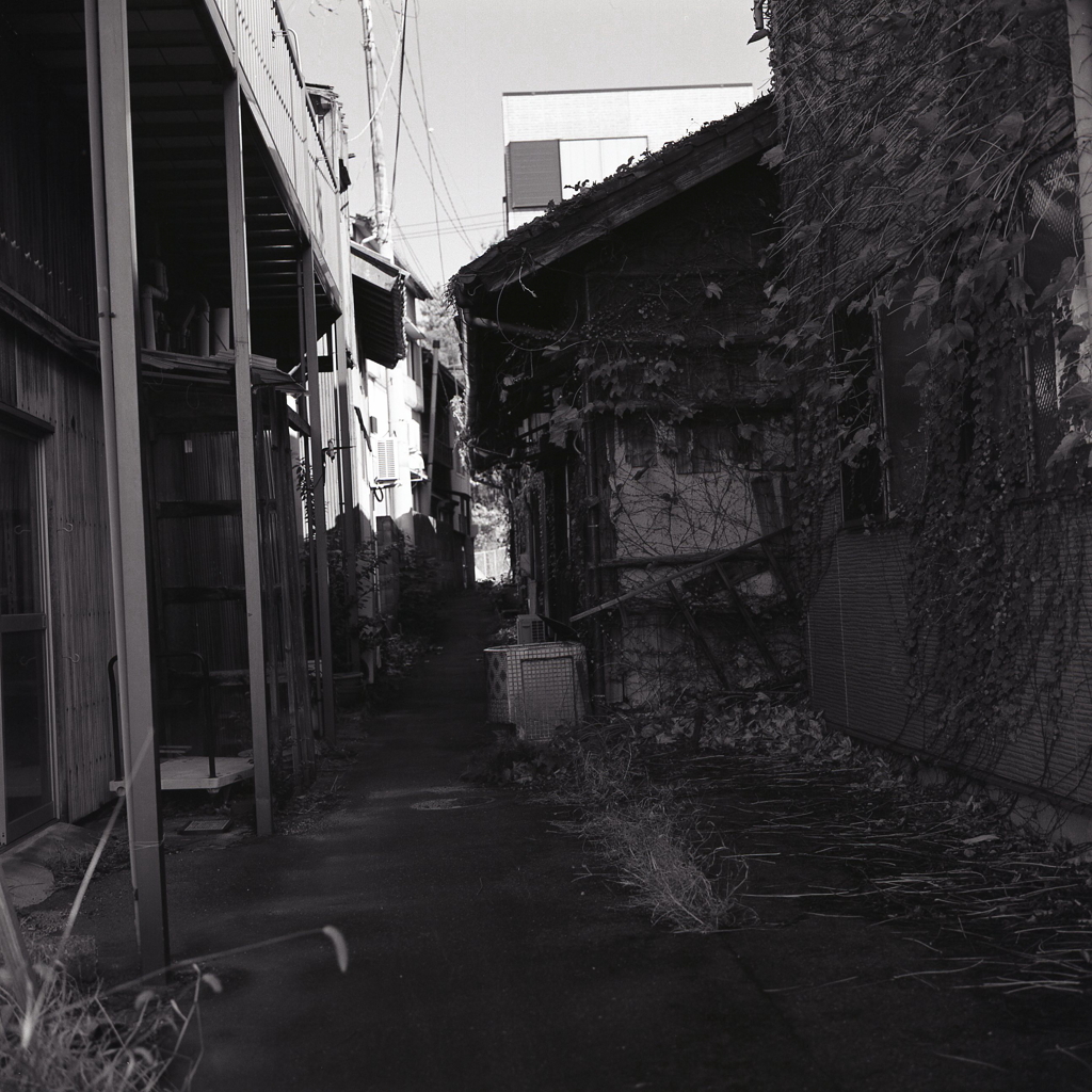 県道からの路地風景