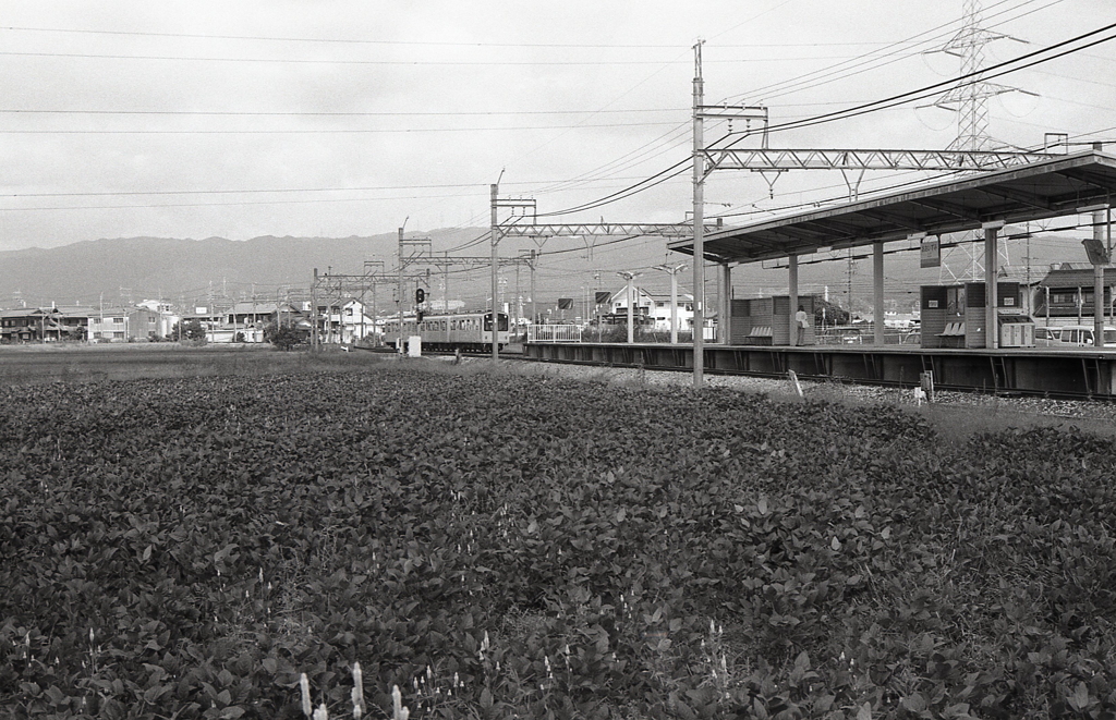 「おおいずみ」駅に入る電車