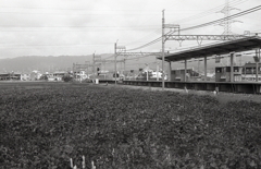 「おおいずみ」駅に入る電車