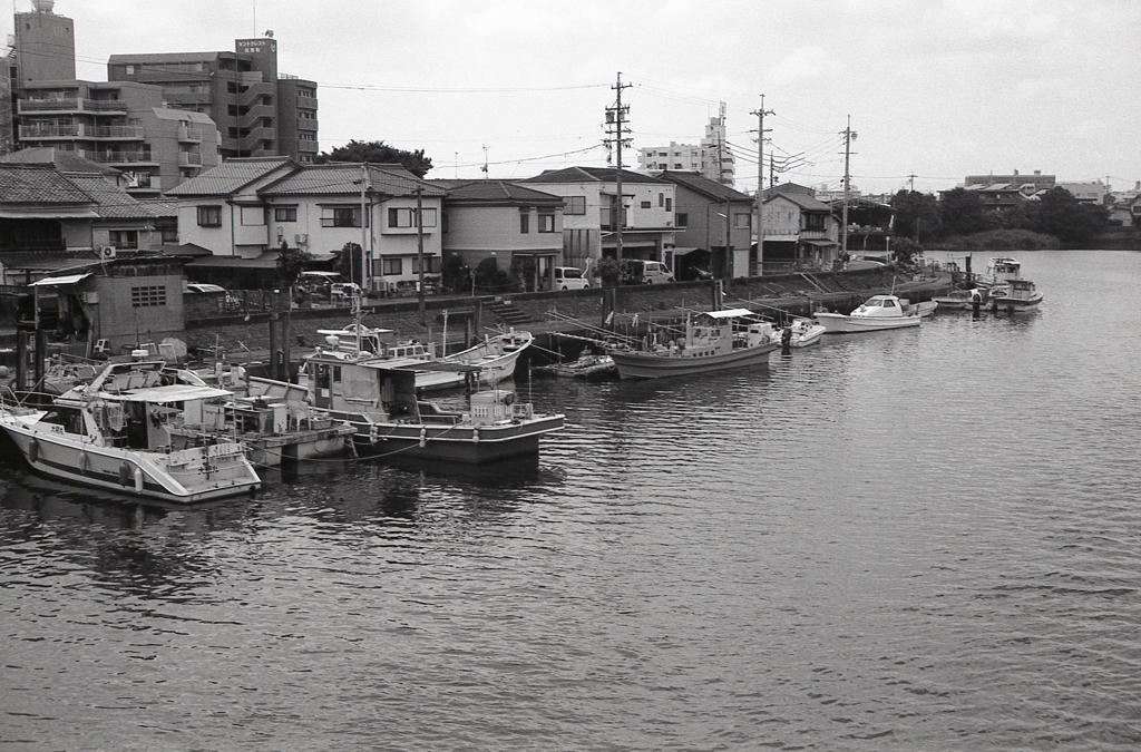 乗合船が並ぶ護岸