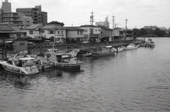 乗合船が並ぶ護岸