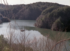 水を湛える小里川風景