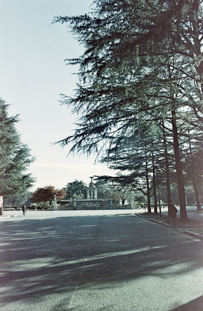 LOMO METROPOLIS TOKYOで撮ってみた。