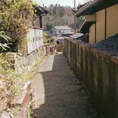 小径の先でこちらを見ている…