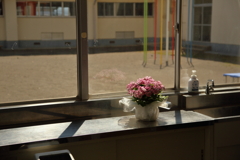 窓辺の花 窓辺の花
