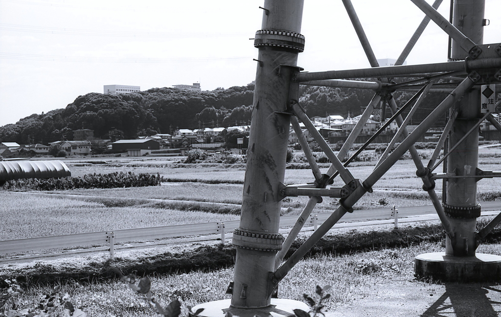 Astrum Micrat-N 6(microfine希釈4