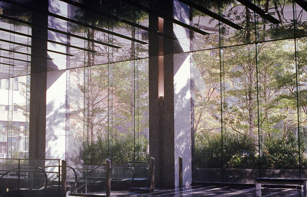 硝子のグリーン