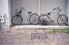 シャッター前の二台の自転車