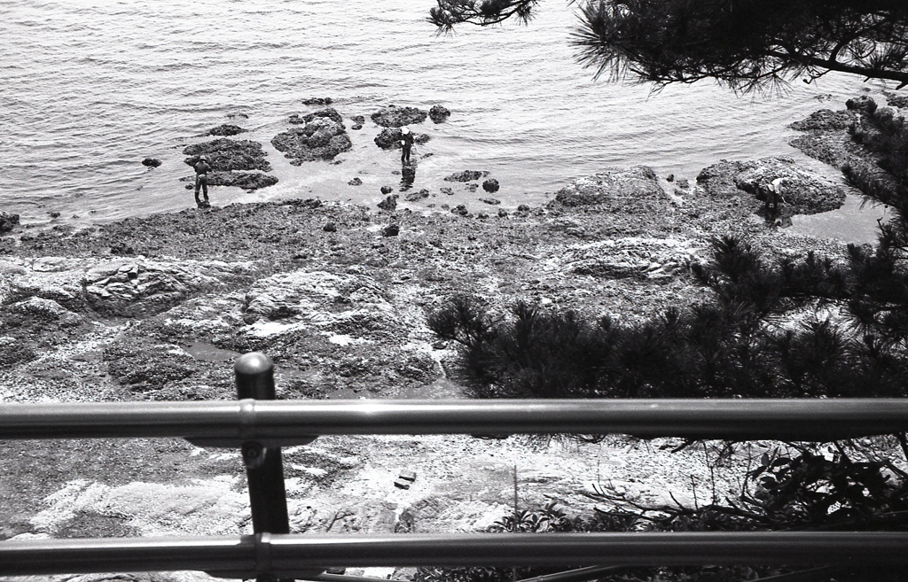 眼下には磯で漁る人が…