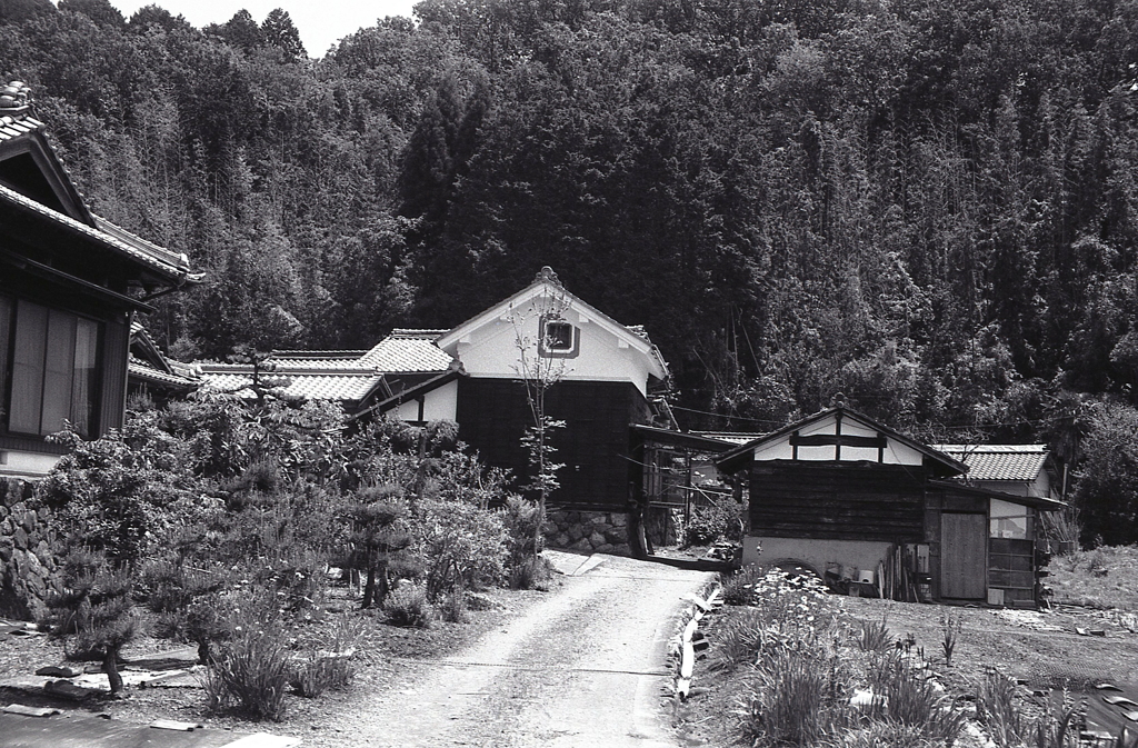 入鹿の畔の田舎道