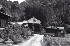 入鹿の畔の田舎道