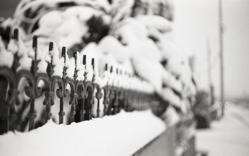 雪国の景色