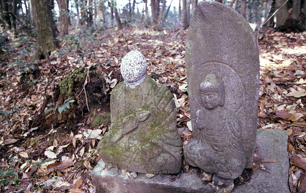 そして小山を奥へ散策すると…