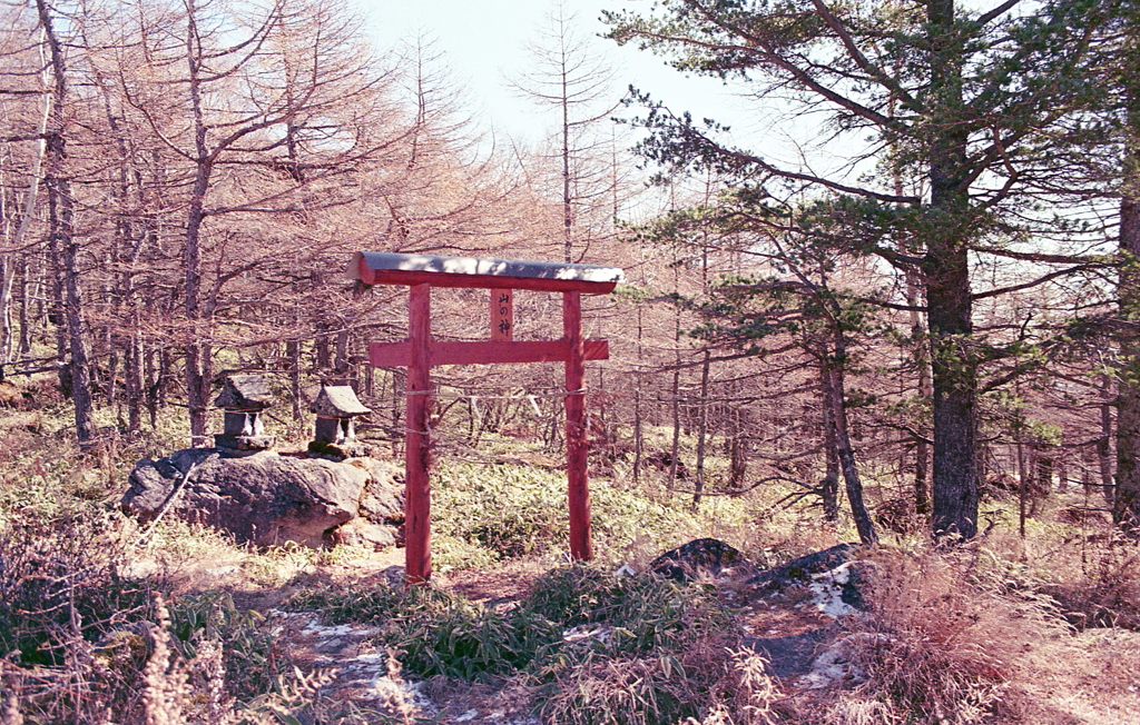 山の神の赤鳥居