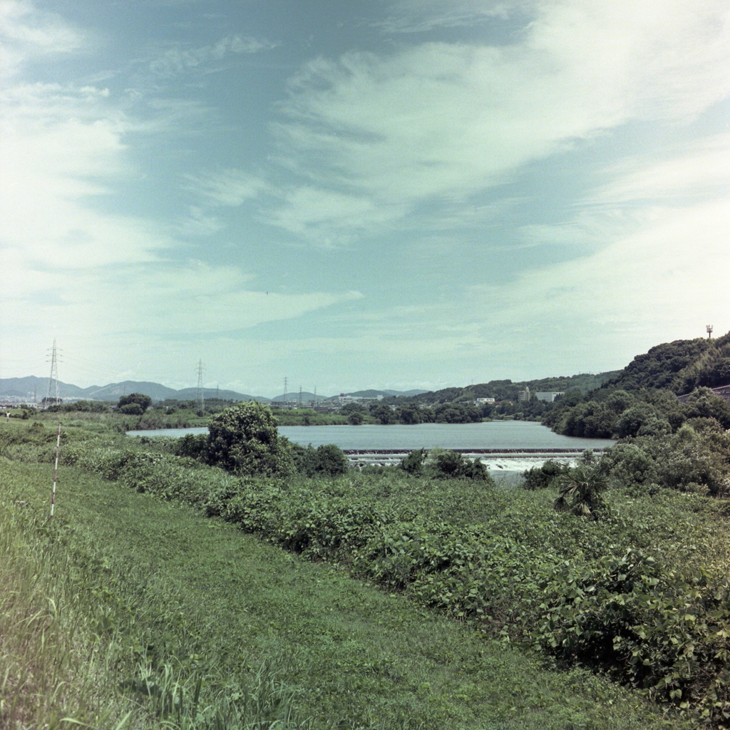 夏の緑の庄内川風景