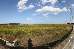 三年後の風景はあまり変わっていなかった。