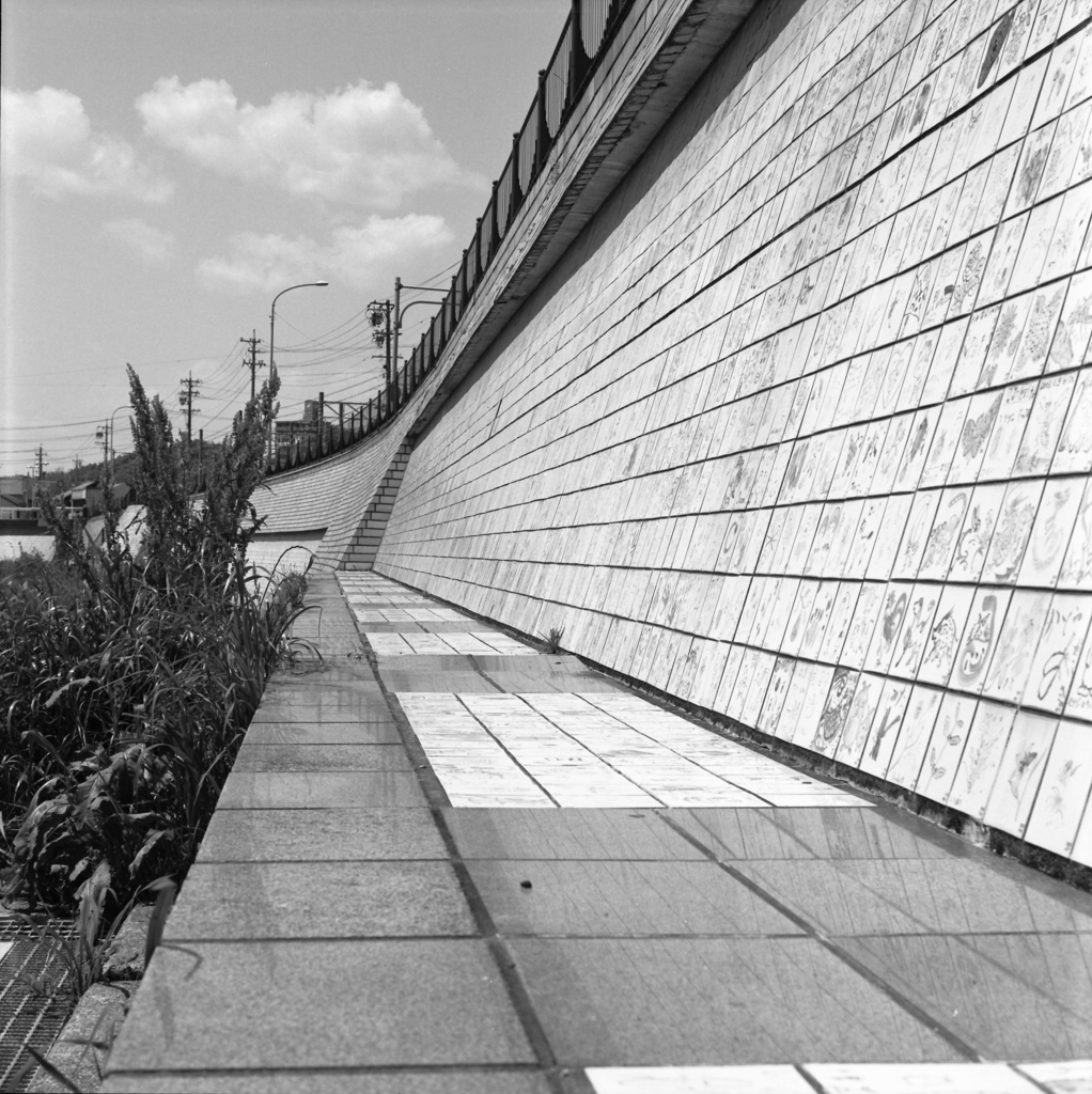 カメラ・フィルム・現像液・スキャナーは違えど…２０１９年5月の瀬戸川