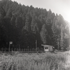 越美北線のポツンと一軒駅（汗