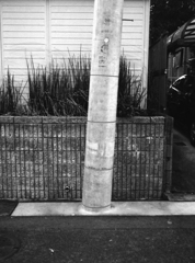 新しい電柱はご機嫌ななめ