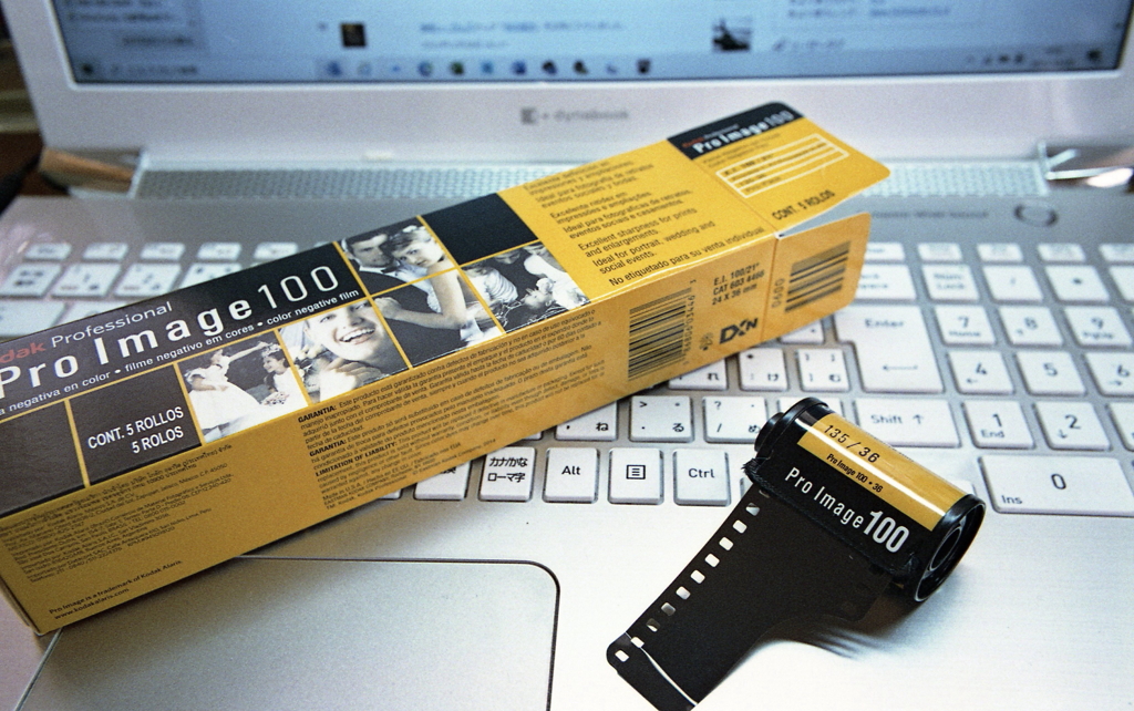 もう勘弁してよ…