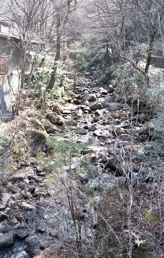 瀬戸・岩屋堂の鳥原川
