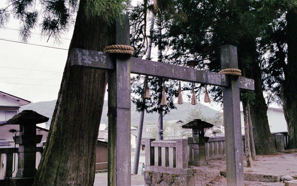 初めて見る鳥居の形