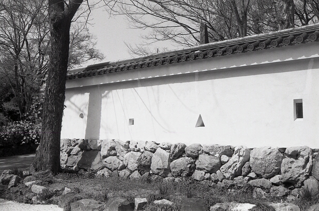 穴の城壁