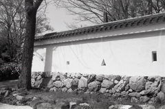 穴の城壁