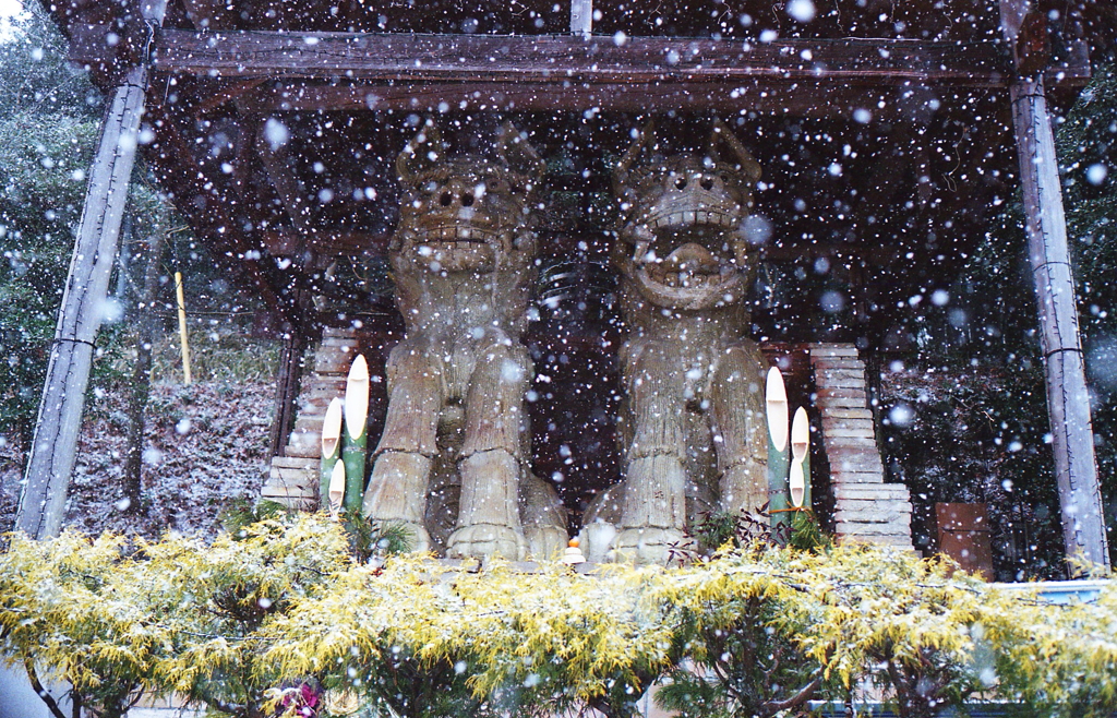 雪と狛犬