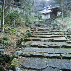 庫裏への石段Ⅱ