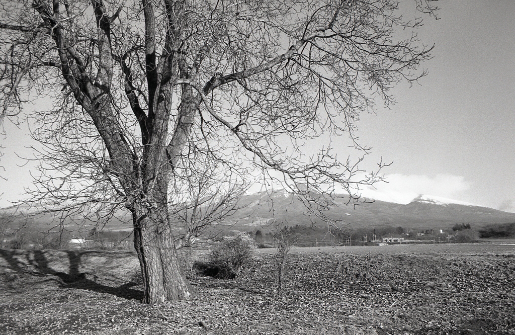 御代田の冬景色Ⅱ