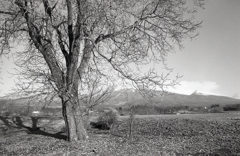 御代田の冬景色Ⅱ