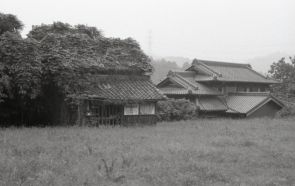 廃屋と入母屋の家