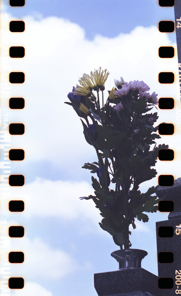 雲の上に親父に手を合わせて…