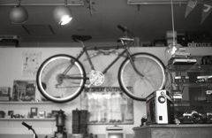 イエネコカメラ