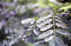 昇龍橋たもとの昇龍公園がありました。（笑